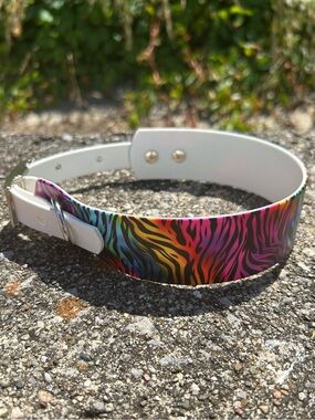 Biothane Collar -L6